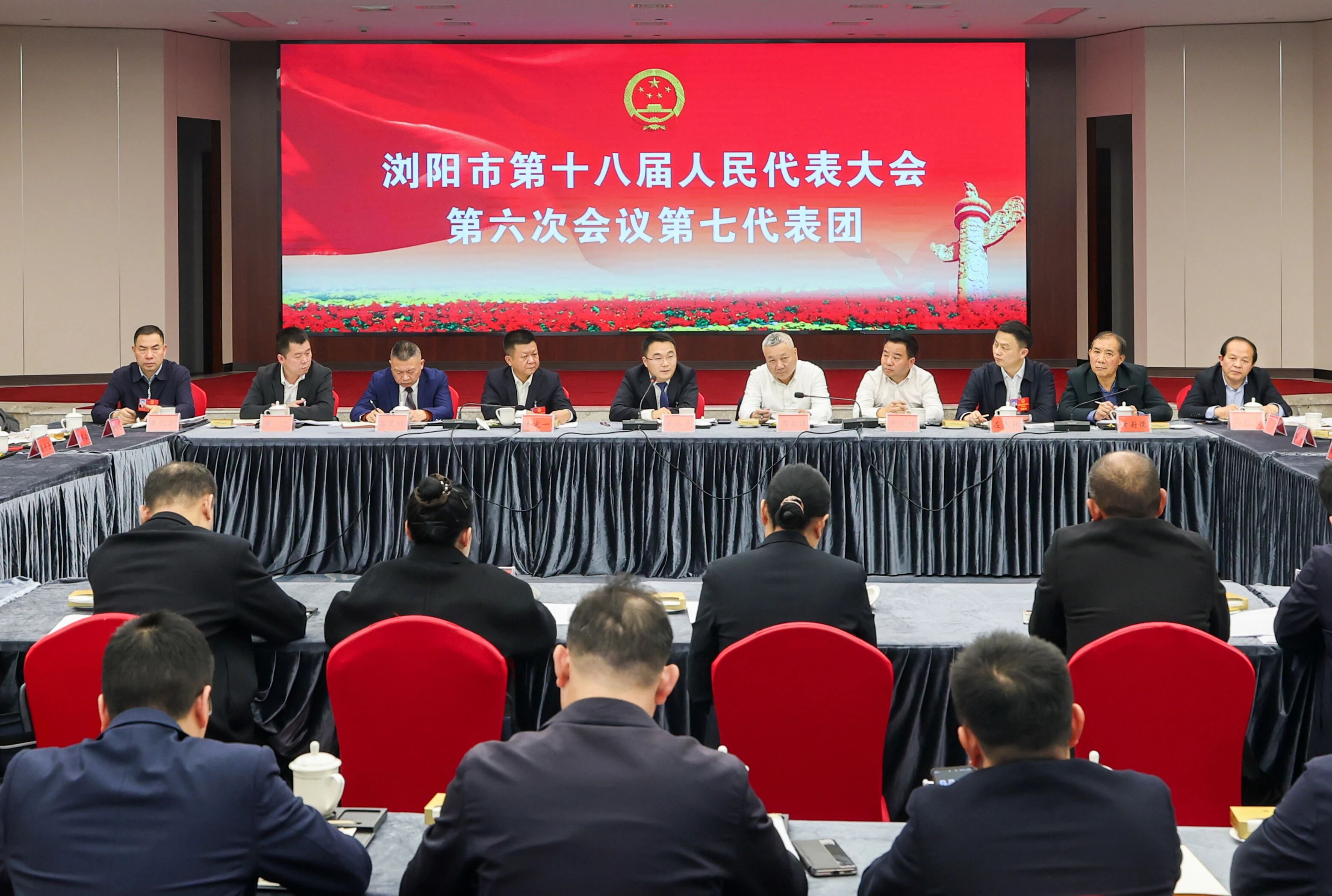 戴水文参加市十八届人大六次会议分团审议